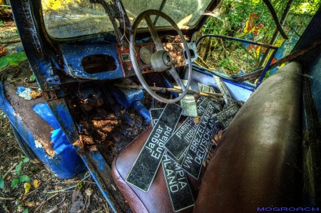 Auto-Skulpturen-Park