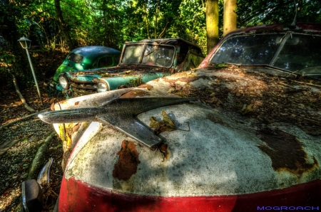 Auto-Skulpturen-Park