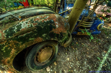 Auto-Skulpturen-Park