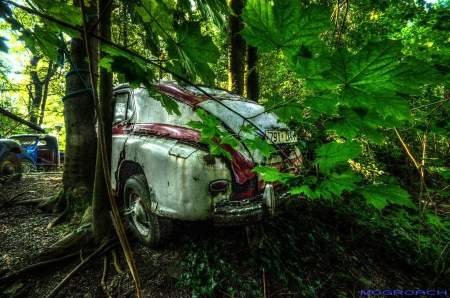 Auto-Skulpturen-Park