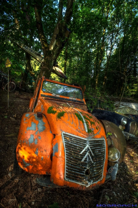 Auto-Skulpturen-Park