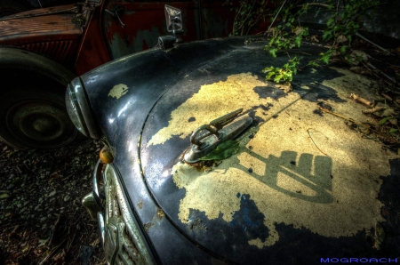 Auto-Skulpturen-Park