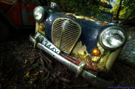 Auto-Skulpturen-Park