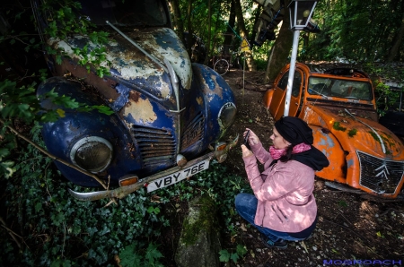 Auto-Skulpturen-Park