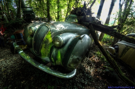 Auto-Skulpturen-Park