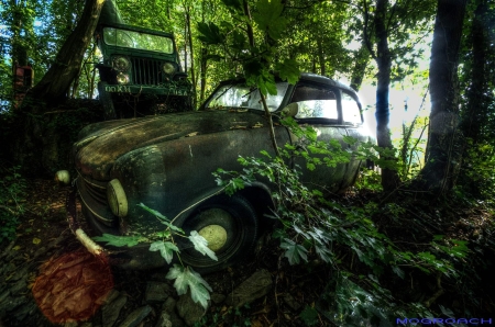 Auto-Skulpturen-Park