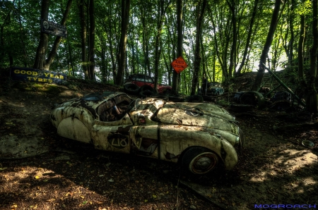 Auto-Skulpturen-Park