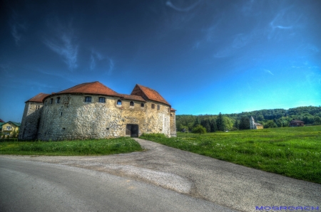 Ribnik Castle