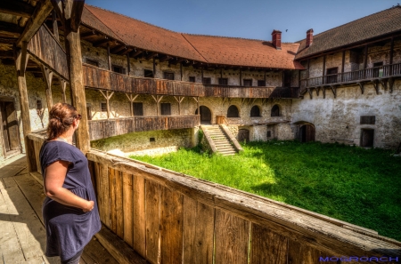 Ribnik Castle