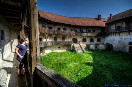 Ribnik Castle