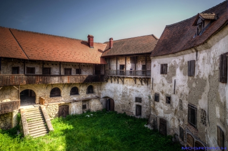 Ribnik Castle