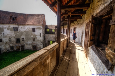 Ribnik Castle