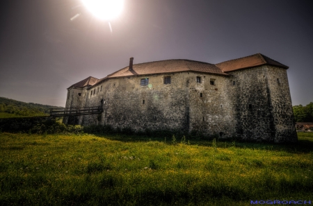 Ribnik Castle