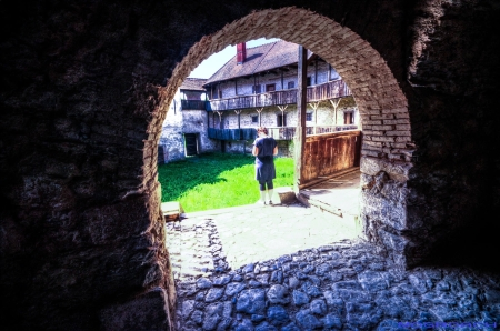 Ribnik Castle