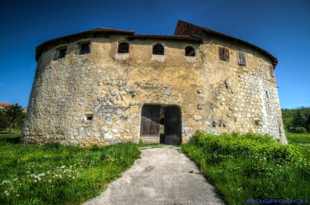 Ribnik Castle