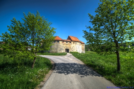 Ribnik Castle