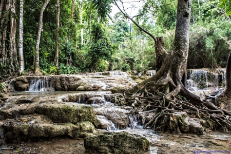 Laos