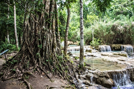 Laos