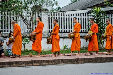 Laos