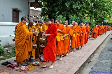 Laos