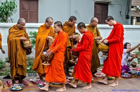 Laos