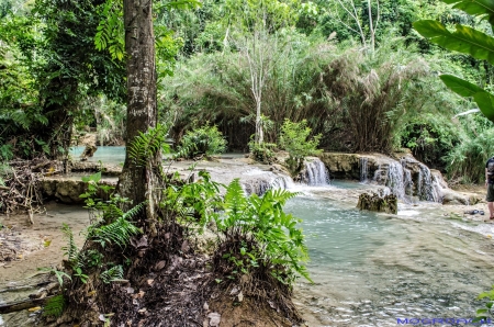 Laos