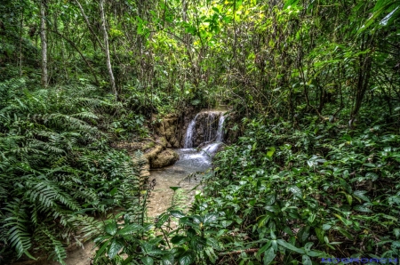 Laos