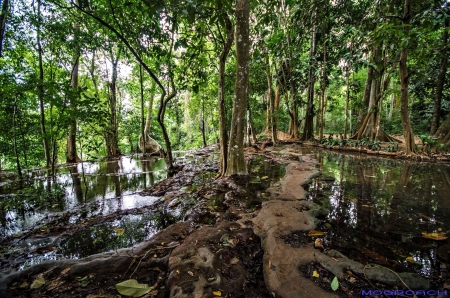 Laos