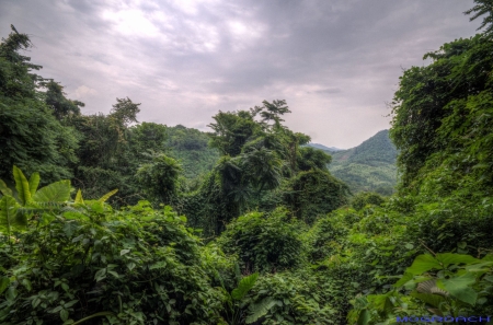 Laos