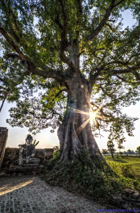 Myanmar