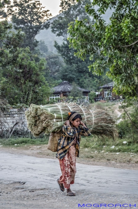 Inle Lake