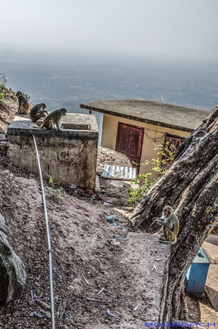 Mount Popa