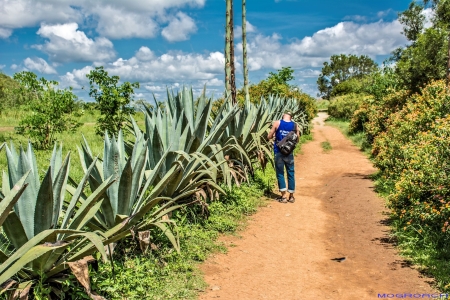 Laos