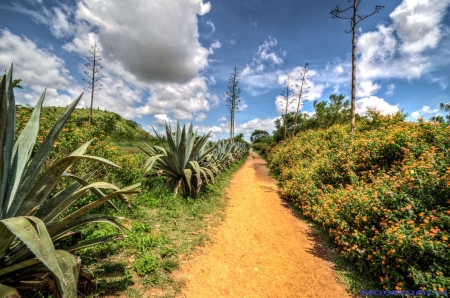 Laos