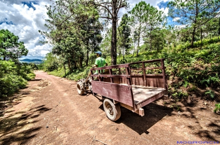 Laos