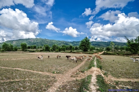 Laos