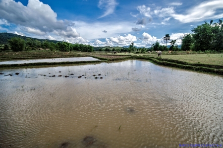 Laos