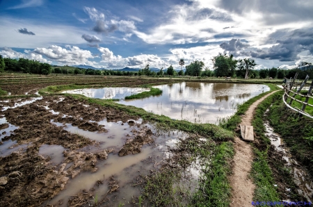 Laos