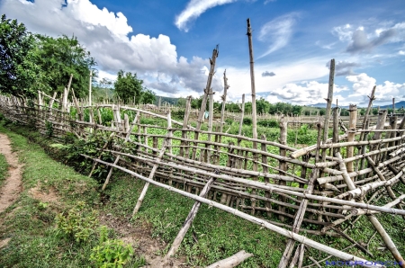 Laos