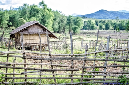 Laos