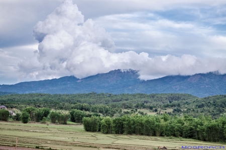 Laos