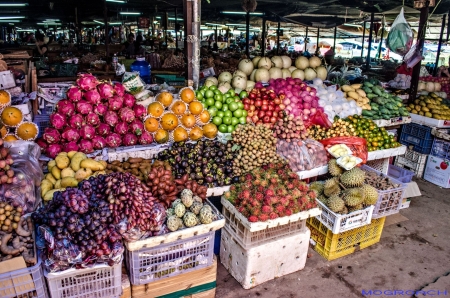 Laos