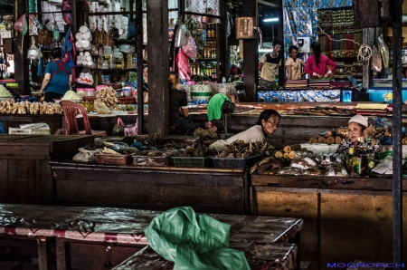 Laos