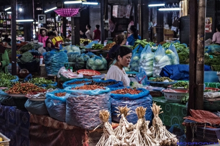 Laos