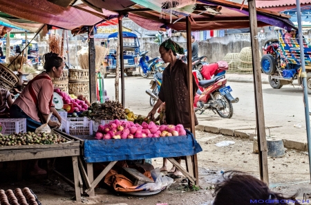 Laos