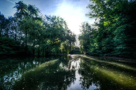 Anwalting, Deutschland