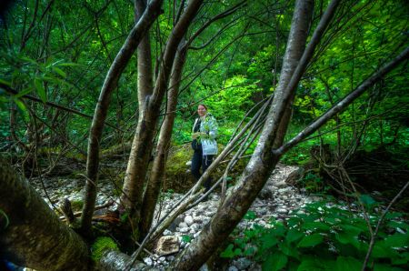 Soča Tal Slowenien