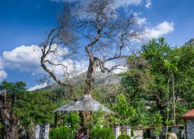 Panagia, Griechenland