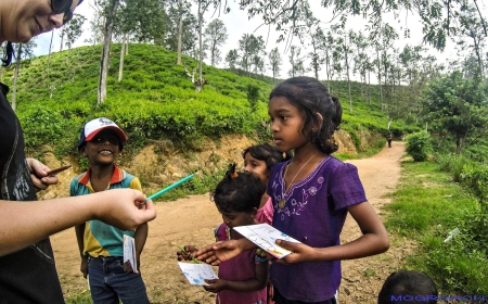 Sri Lanka