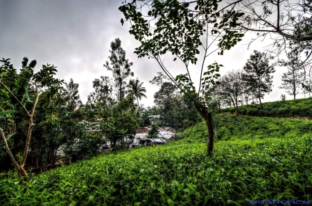 Sri Lanka